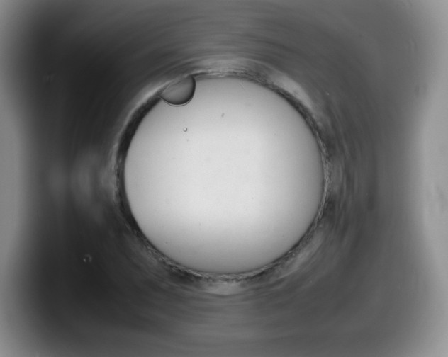 X0000099461071200805090743