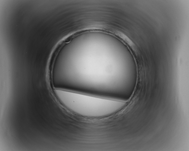 X0000099461072200805090743