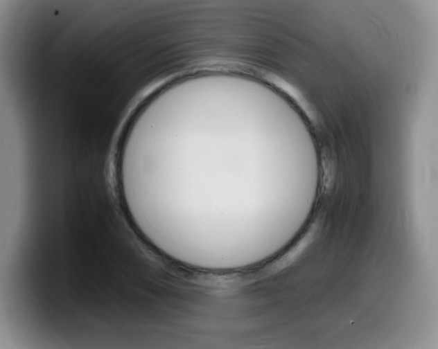 X0000099461074200805090743