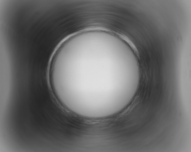 X0000099461076200805090743