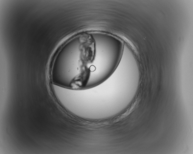 X0000099461077200805090743