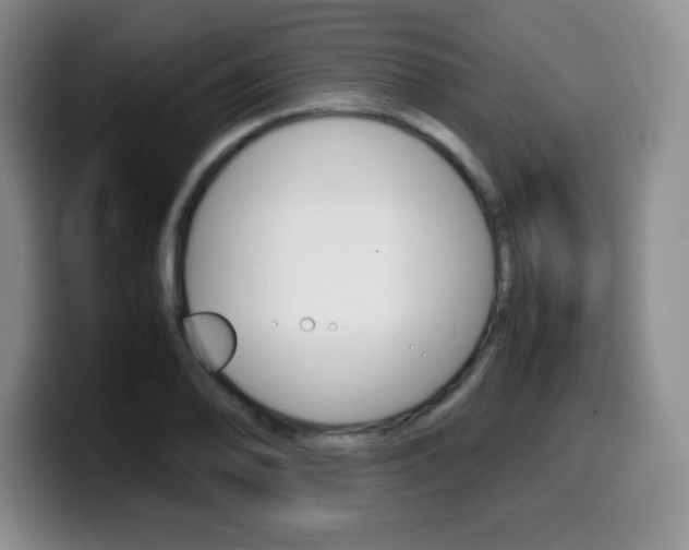 X0000099461078200805090743