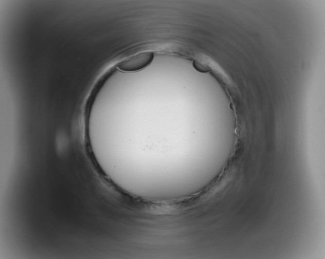 X0000099461079200805090743