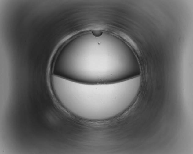 X0000099461080200805090743