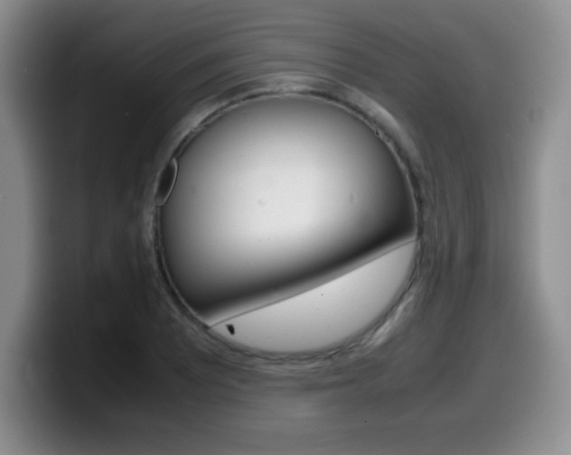 X0000099461081200805090742