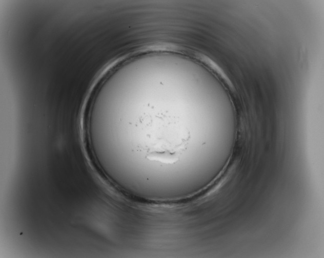 X0000099461082200805090742