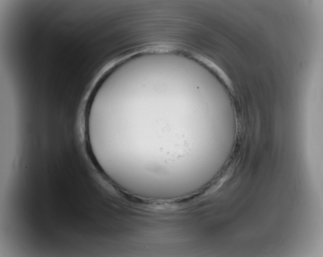 X0000099461083200805090742