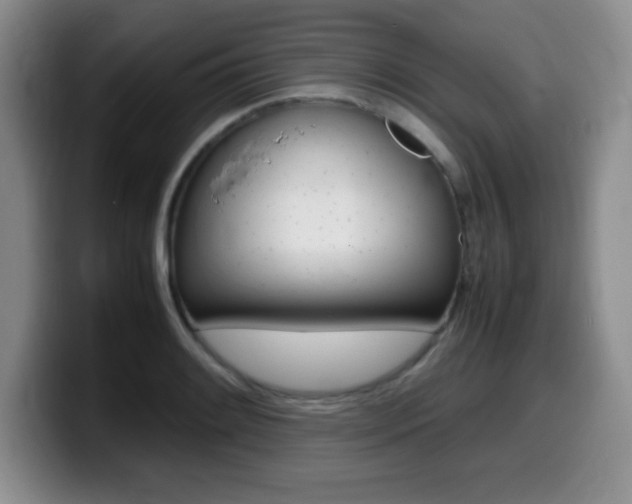 X0000099461084200805090742
