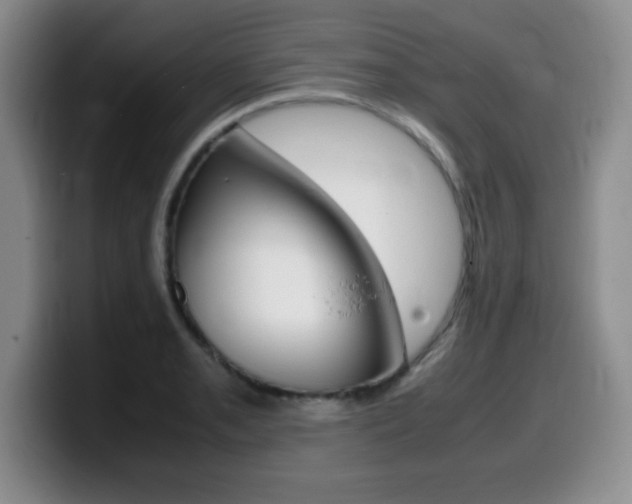 X0000099461085200805090742