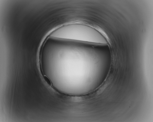 X0000099461088200805090742