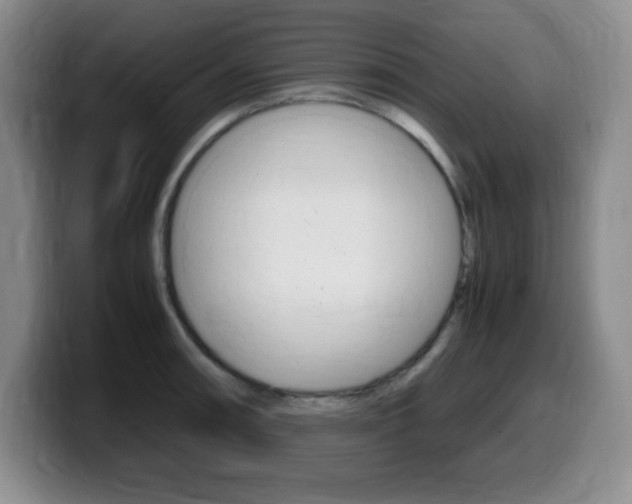X0000099461090200805090742