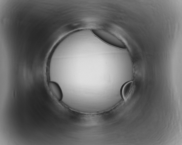X0000099461091200805090742