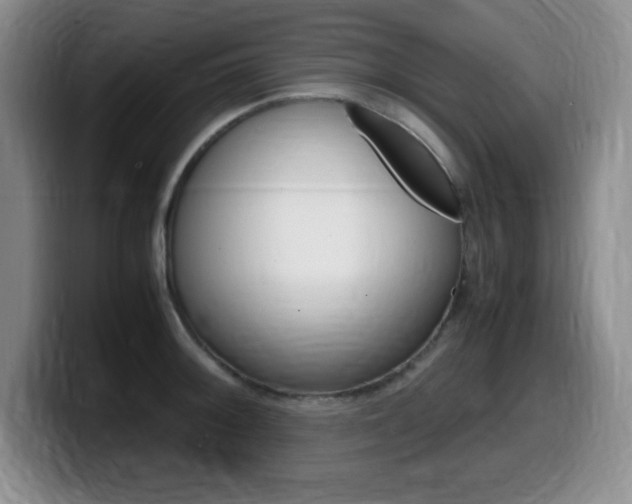 X0000099461092200805090742