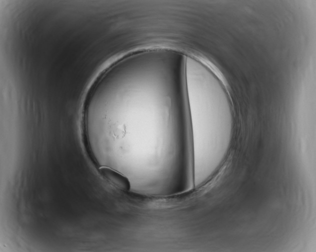 X0000099461093200805090742