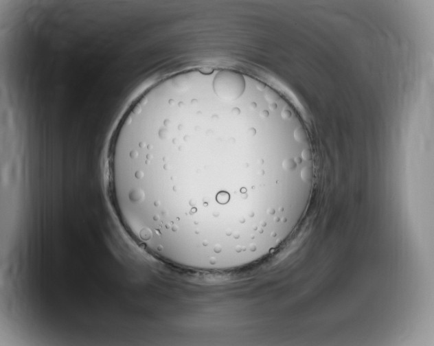 X0000099461095200805090742