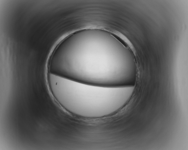 X0000099461096200805090742