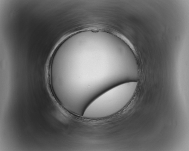 X0000099461099200805090742