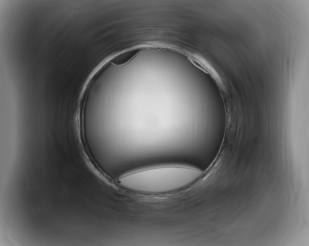 X0000099461100200805090742