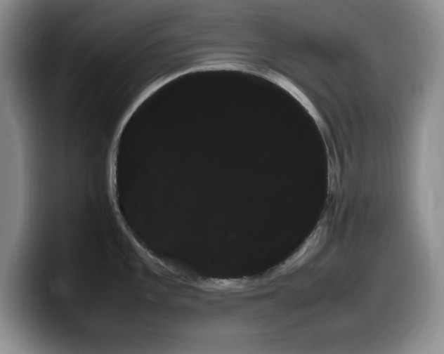 X0000099461101200805090742