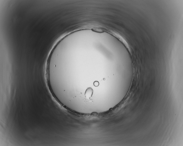 X0000099461103200805090742