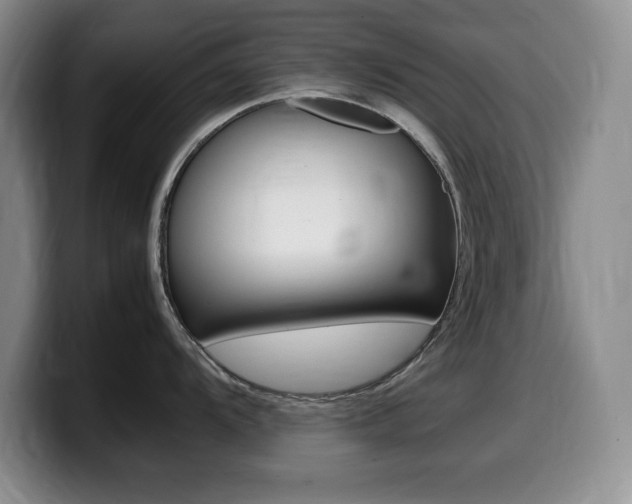 X0000099461104200805090742