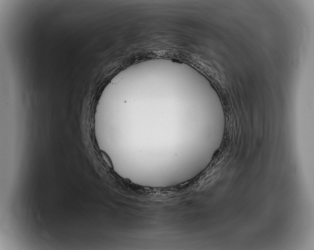 X0000099461105200805090742