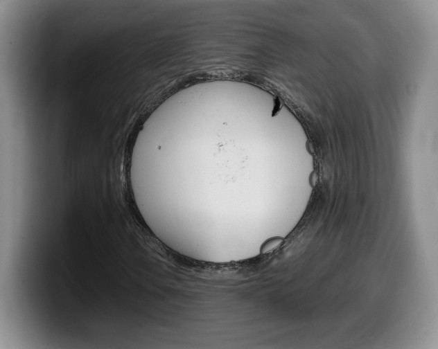 X0000099461106200805090742