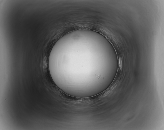 X0000099461107200805090742