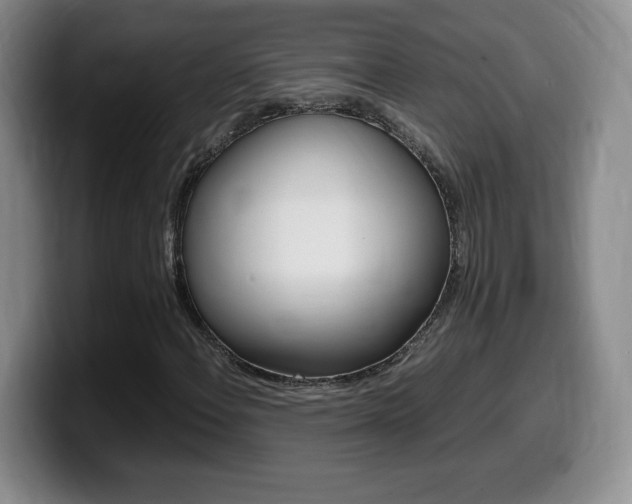 X0000099461108200805090742