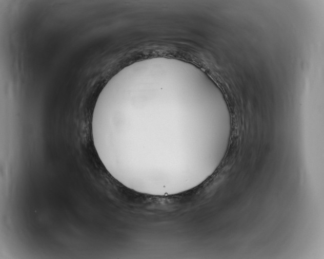 X0000099461109200805090742