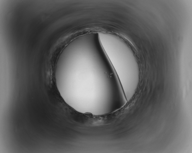 X0000099461111200805090742