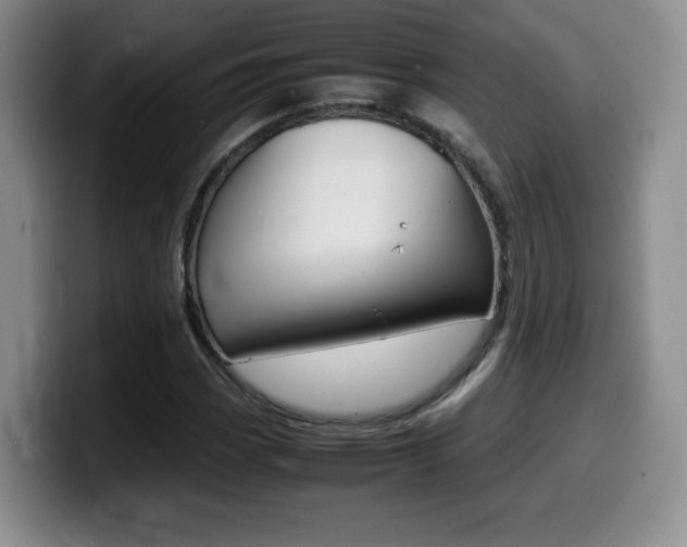 X0000099461113200805090742
