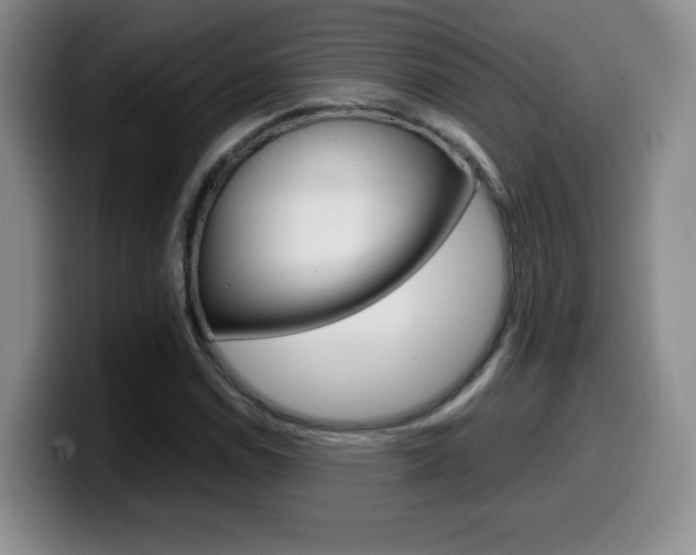 X0000099461114200805090742