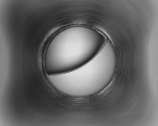 X0000099461115200805090742