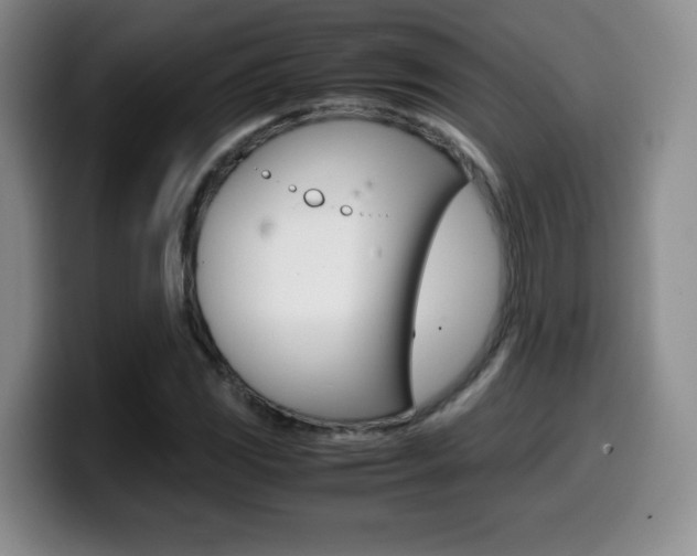X0000099461117200805090742