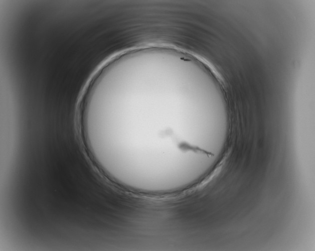 X0000099461118200805090742