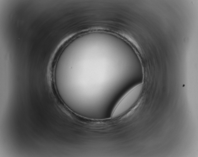 X0000099461119200805090742