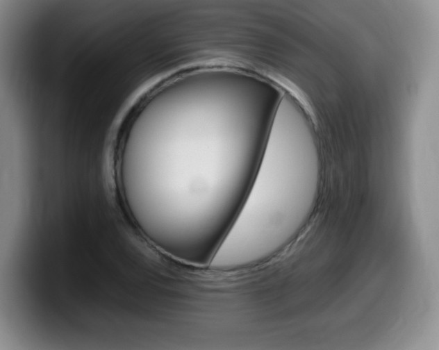 X0000099461120200805090742