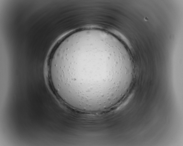 X0000099461125200805090742