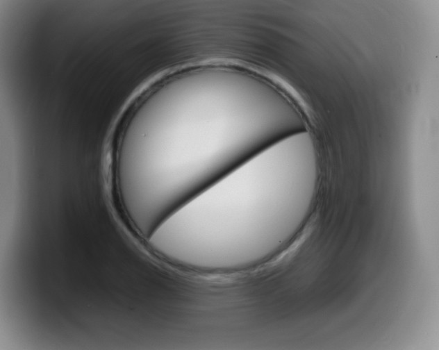 X0000099461126200805090742