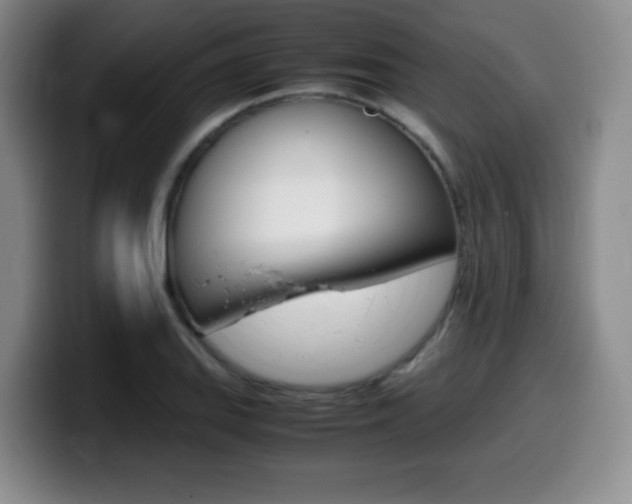 X0000099461127200805090742