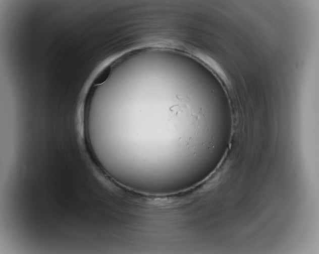 X0000099461128200805090742