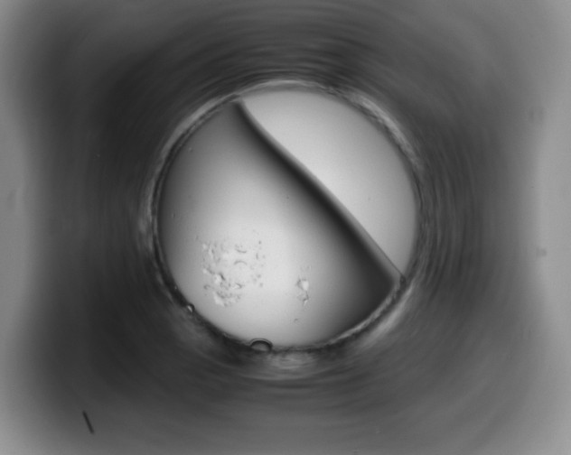 X0000099461129200805090742