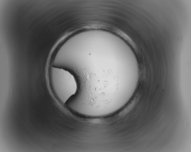 X0000099461130200805090742