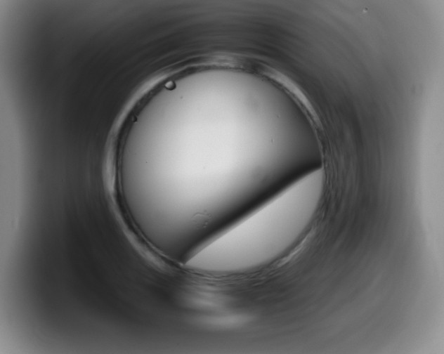 X0000099461131200805090742