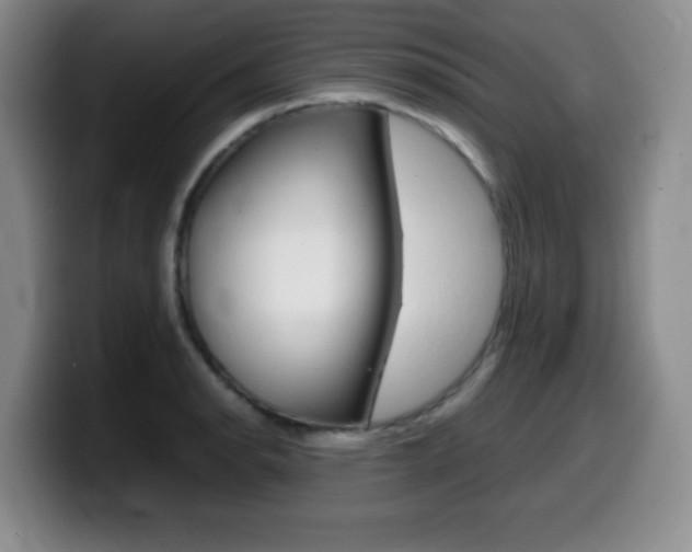 X0000099461134200805090742