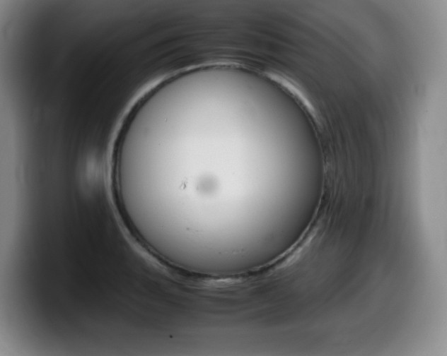 X0000099461135200805090742