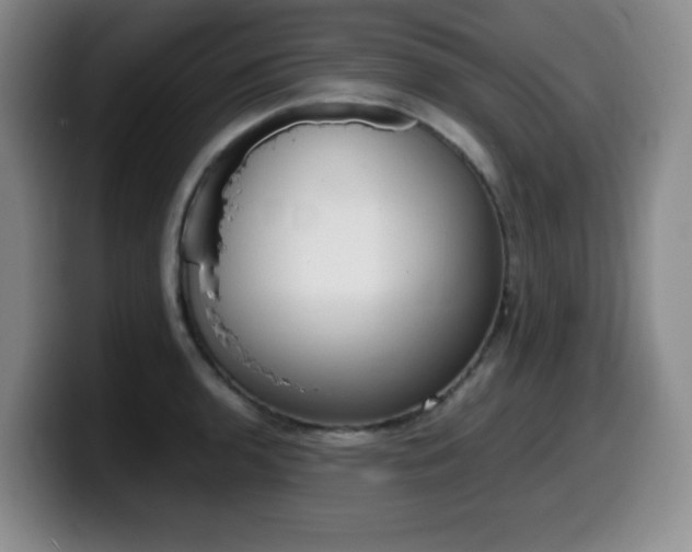 X0000099461136200805090742
