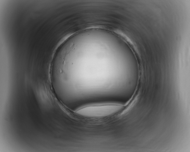 X0000099461137200805090742