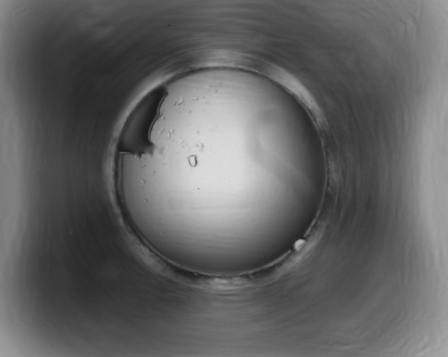 X0000099461138200805090742